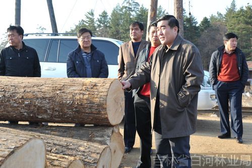 延边州林管局局长刘怀,延边林业集团副总裁李瑞森在贮木场调研